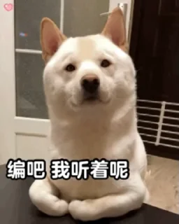 😢 emoji 欧宝动物园   @ob3600 Telegram sticker 8 of 50