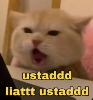 Sticker from apa aja