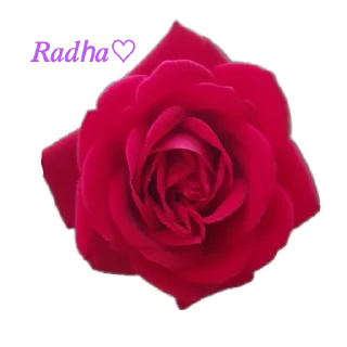 Sticker from 𝑅𝑎𝑑ℎ𝑎 ❥❥♡