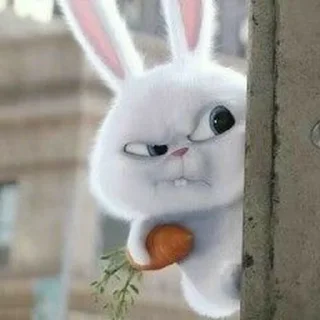 🐰 emoji Peliharaan Lio yg estetik Telegram sticker 12 of 80