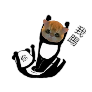 🤔 emoji 高速代理 @hgwzcd Telegram sticker 21 of 50