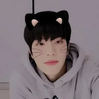 Sticker from ⿻ྀ⃕  KIM SEUNGMIN . @FVCK00PRIDE