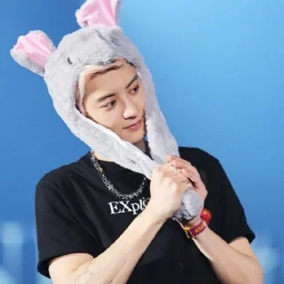🔗 emoji ✶Chanyeol✶ @Stikerrpackrp @yeolpcy Telegram sticker 8 of 20