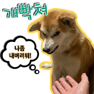 🐕‍🦺 emoji 🐶강아지단🐶 Telegram sticker 14 of 93