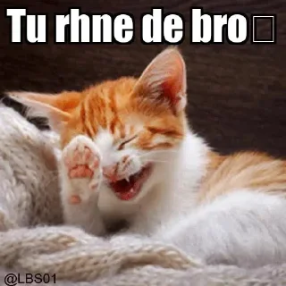 🤣 emoji @pro_dude1 Vol.4 Telegram sticker 23 of 120