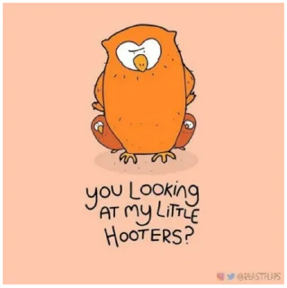 🦉 emoji Grumpy Animals by @beastflaps Telegram sticker 3 of 115