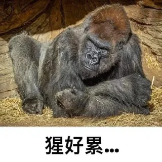 😢 emoji 呱呱 @bidaobi Telegram sticker 11 of 40