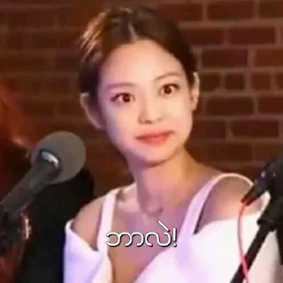 🙂 emoji BLACKPINK MEMES MYANMAR Telegram sticker 16 of 38