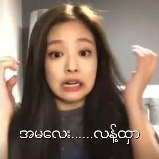 😫 emoji BLACKPINK MEMES MYANMAR Telegram sticker 13 of 38