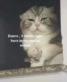☹️ emoji my fav meme Telegram sticker 22 of 25