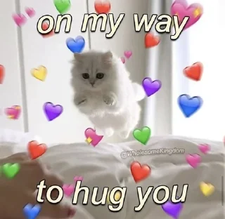 🗿 emoji Meowwwww 😺😺 @r_squared_rishabh Telegram sticker 9 of 14