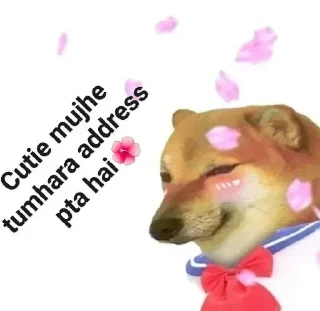 😂 emoji CuTIE // @ZekoxeADV // Telegram sticker 8 of 45