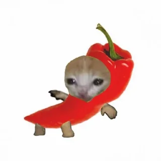 🌶 emoji @ihozu dudul sticker ^__^ Telegram sticker 8 of 81