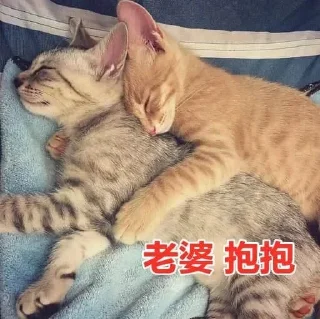 🥰 emoji 江小壶的大想法 Telegram sticker 23 of 80