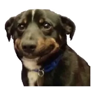 🥲 emoji Ha Telegram sticker 6 of 86