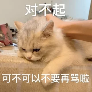 😭 emoji Cat48-丢丢✧٩(ˊωˋ*)و✧ Telegram sticker 8 of 69
