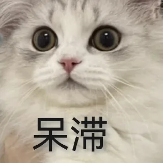 🤡 emoji Cat48-丢丢✧٩(ˊωˋ*)و✧ Telegram sticker 19 of 69