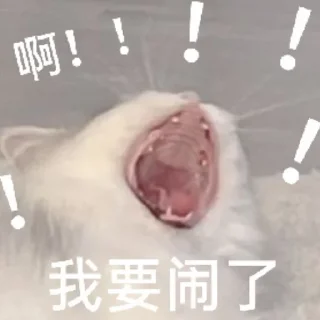 🙀 emoji Cat48-丢丢✧٩(ˊωˋ*)و✧ Telegram sticker 4 of 69