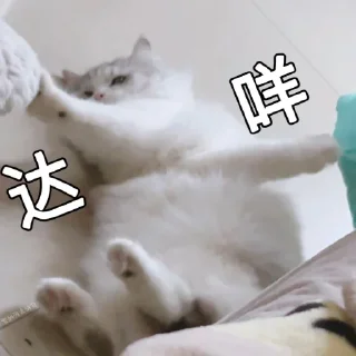 😱 emoji Cat48-丢丢✧٩(ˊωˋ*)و✧ Telegram sticker 1 of 69