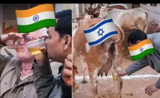 🇮🇳 emoji PAJEET - पजीत 🇮🇳💩 Telegram sticker 20 of 53