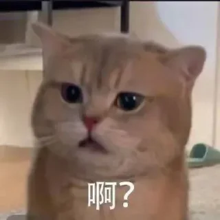 😟 emoji 阿离的藏宝图 @asoho2 Telegram sticker 22 of 55