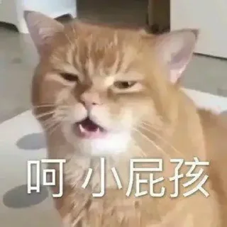 🙄 emoji 小网警的喵喵 Telegram sticker 14 of 78