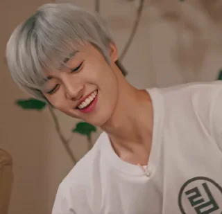 😊 emoji Na Jaemin Telegram sticker 9 of 25