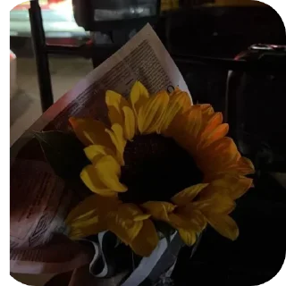 Sticker from Sunflower 🌻