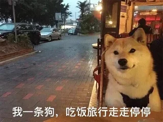 🐶 emoji 草包#1 Telegram sticker 23 of 120