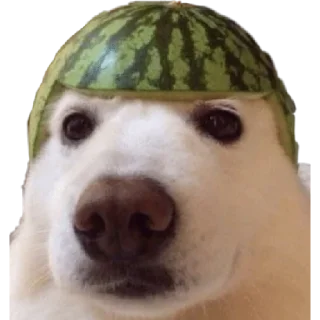 😕 emoji 玉子 Telegram sticker 5 of 120