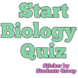 👌 emoji Students Grouo Telegram sticker 11 of 119