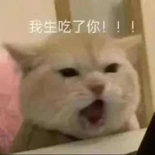 😡 emoji 粉丝麻袋装小樱 Telegram sticker 18 of 58