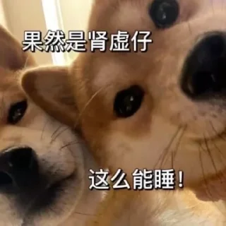 🤔 emoji 粉丝麻袋装小樱 Telegram sticker 19 of 58