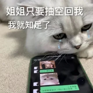😬 emoji 粉丝麻袋装小樱 Telegram sticker 21 of 58