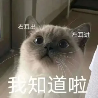 😳 emoji 粉丝麻袋装小樱 Telegram sticker 11 of 58