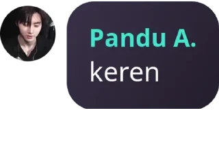 Sticker from pandu