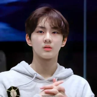 🐑 emoji ENHYPEN Yang Jungwon ; @sweetestroad ♡̸̸̸̸ Telegram sticker 18 of 22