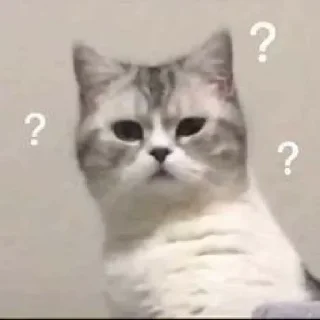 🐈 emoji 😫😫 • drunkie Telegram sticker 21 of 46