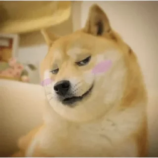 Sticker from @Funny_Gang_Posts Post