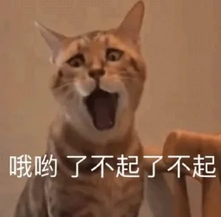🐱 emoji 阴阳怪气 1️⃣ Telegram sticker 19 of 70