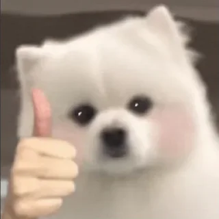 ❤️ emoji 小鹿酱 Telegram sticker 19 of 120