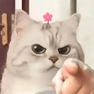 ❤️ emoji 小鹿酱 Telegram sticker 16 of 120