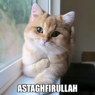 😬 emoji Hasil curian by @Asrofi_mahfud Telegram sticker 20 of 120