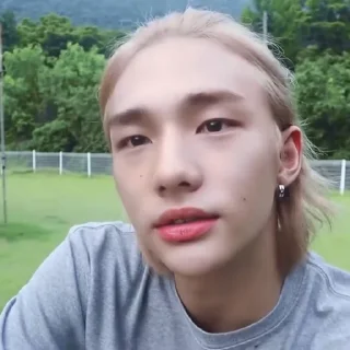 Sticker from @inixeyla : hyunjin