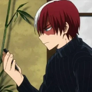 🥢 emoji todoroki Telegram sticker 7 of 24