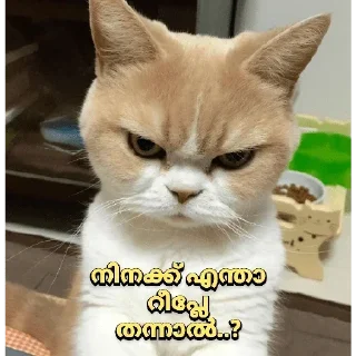 🤨 emoji Noob Telegram sticker 10 of 64
