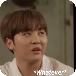 😒 emoji MANIAC SVT 2.0 (JIMINGYU) Telegram sticker 19 of 76