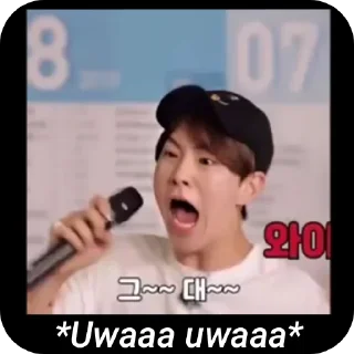 😧 emoji MANIAC SVT 2.0 (JIMINGYU) Telegram sticker 24 of 76