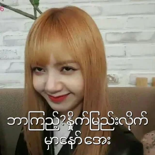 🌚 emoji BLACKPINK MEMES MYANMAR Telegram sticker 9 of 38