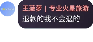 🍍 emoji 我服务器是PoloCloud Telegram sticker 7 of 7